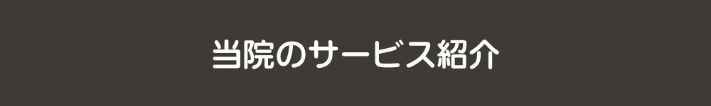 当院のサービス紹介